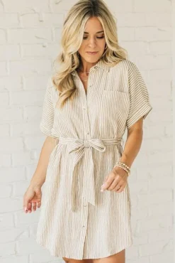 Theo Striped Shirt Dress