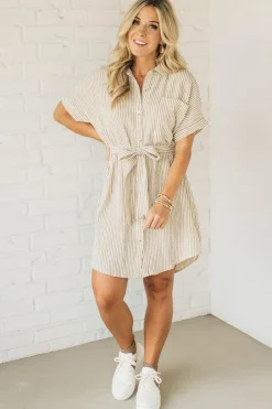 Theo Striped Shirt Dress
